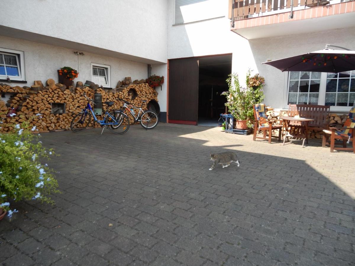 Ferienweinhaus Roemer-Knodt Kröv Esterno foto