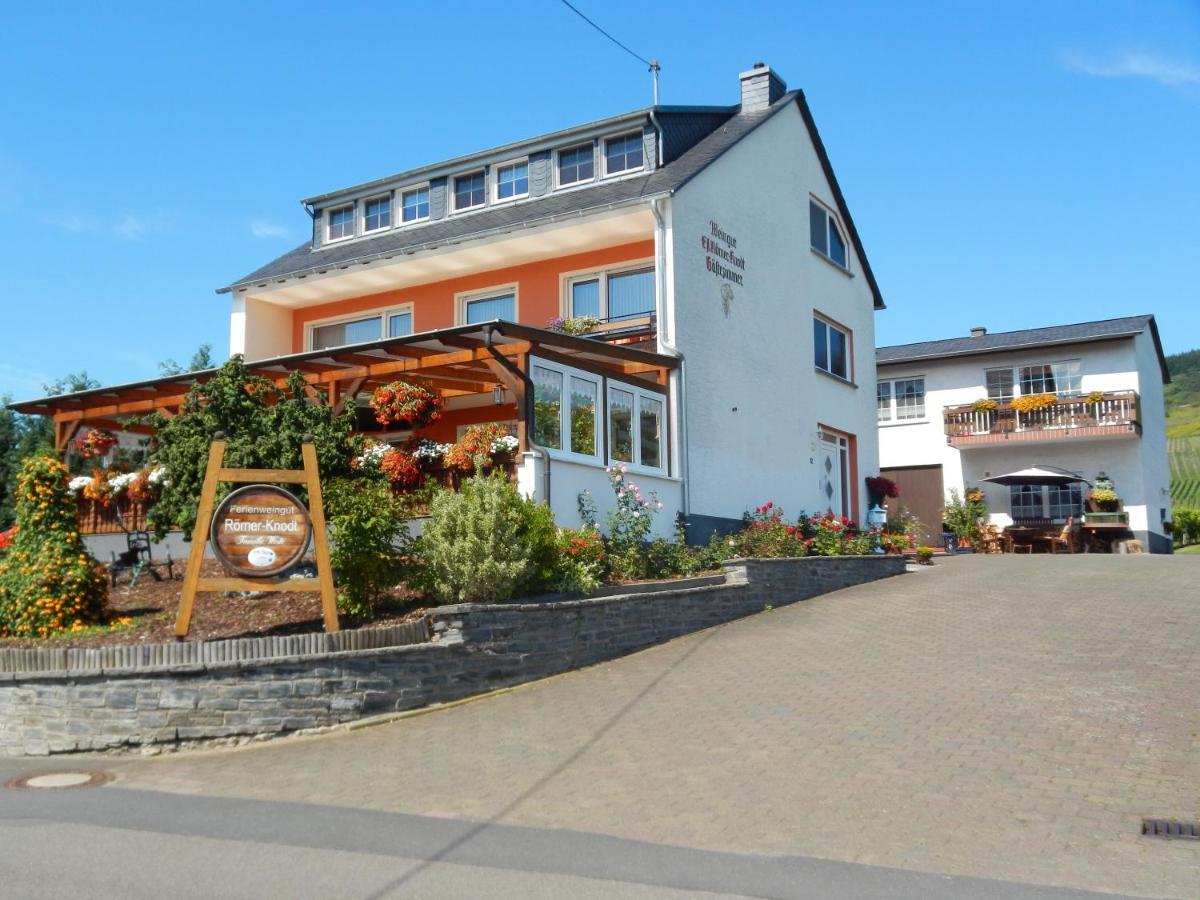 Ferienweinhaus Roemer-Knodt Kröv Esterno foto