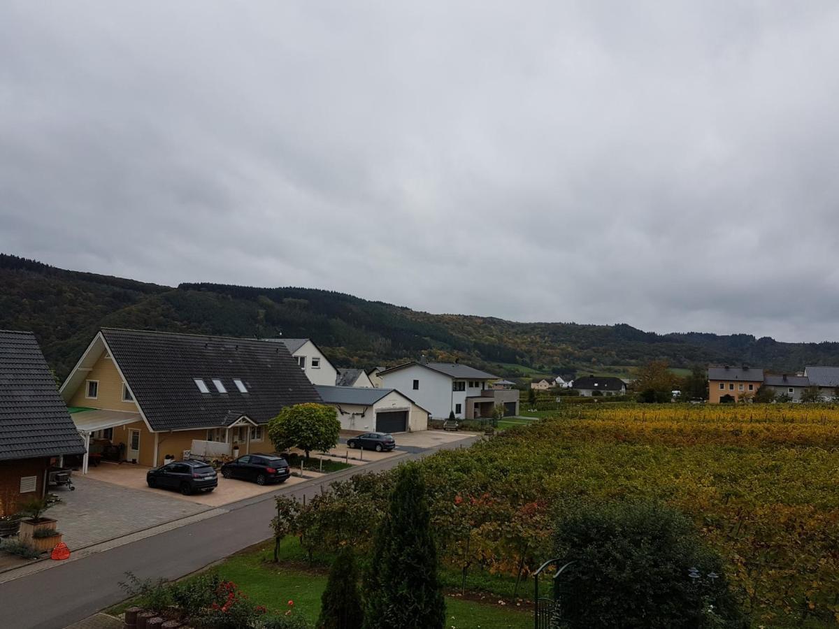 Ferienweinhaus Roemer-Knodt Kröv Esterno foto