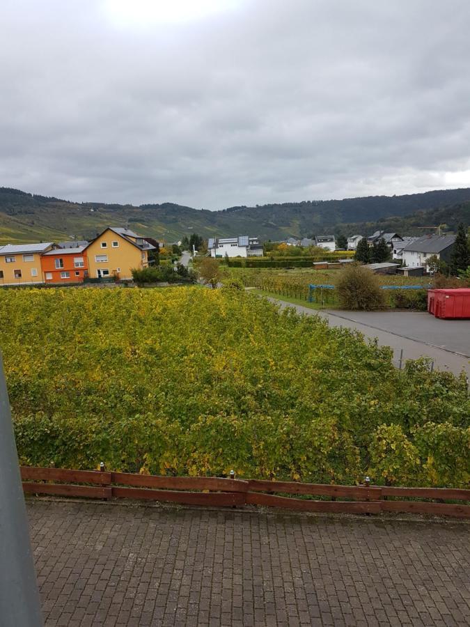 Ferienweinhaus Roemer-Knodt Kröv Esterno foto